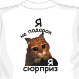 Burberry кепка 